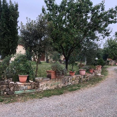 Agriturismo Oria Bianca Villa San Quirico dʼOrcia Exteriör bild