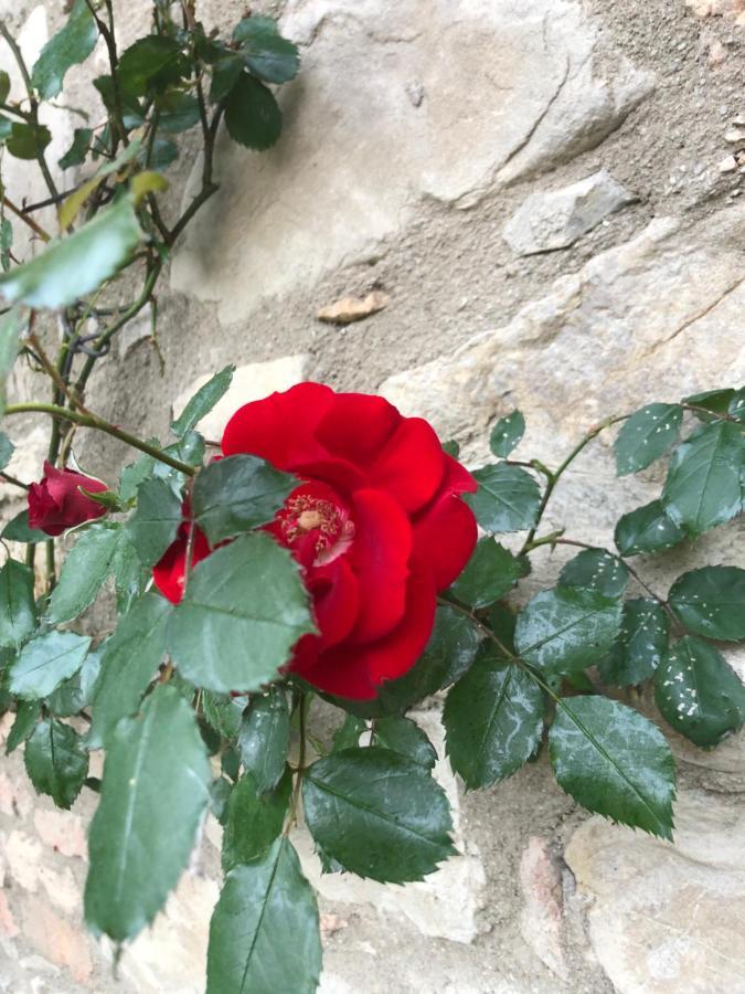 Agriturismo Oria Bianca Villa San Quirico dʼOrcia Exteriör bild