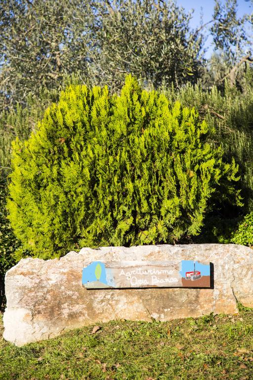 Agriturismo Oria Bianca Villa San Quirico dʼOrcia Exteriör bild